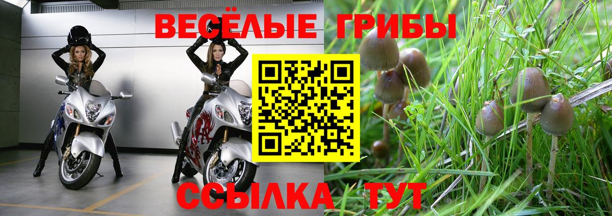 Псилоцибиновые грибы MAGIC MUSHROOMS  Вход с VPN  Псилоцибиновые грибы MAGIC MUSHROOMS  купить закладку  Заволжье 